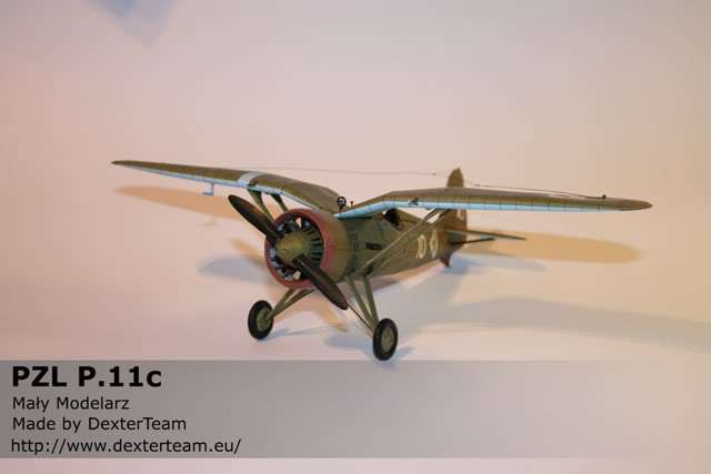 pzl11_001.jpg