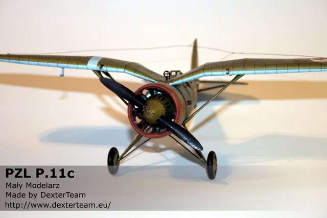 pzl11_002.jpg