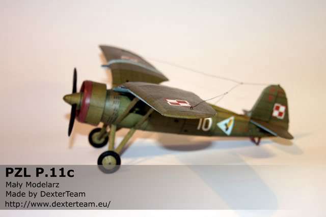 pzl11_005.jpg
