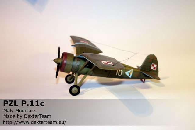pzl11_006.jpg