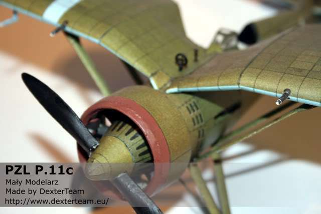 pzl11_007.jpg