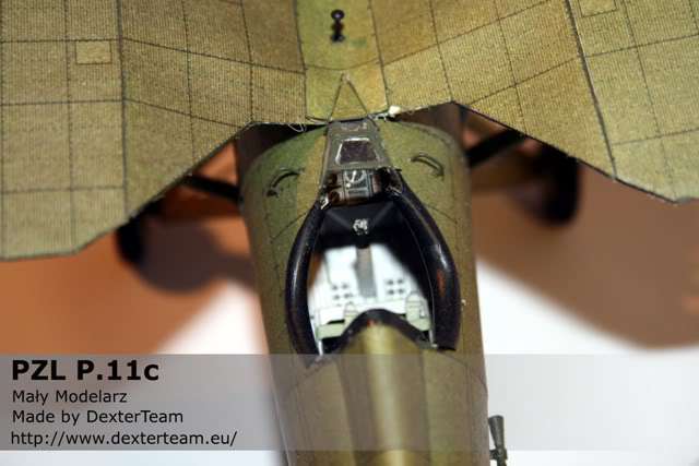 pzl11_008.jpg