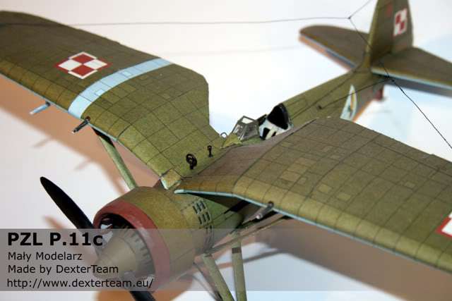 pzl11_010.jpg
